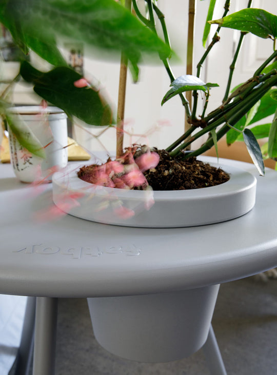 Fatboy Bakkes : une table d’appoint innovante et design, parfaite pour créer un coin détente avec des fleurs fraîches.