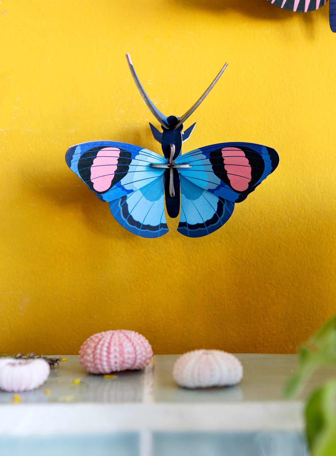 Apportez un papillon Paon 3D de Studio Roof à votre intérieur, une pièce écologique qui célèbre la beauté des insectes.