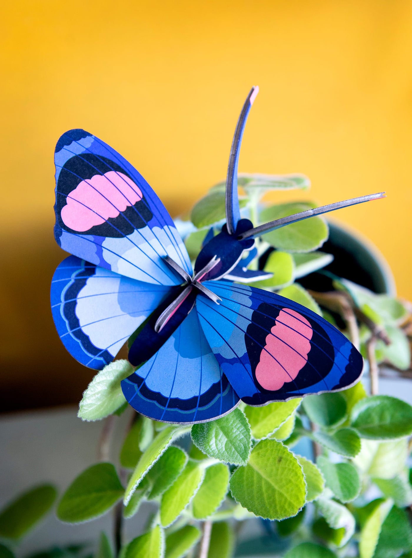 Studio Roof Papillon Paon : un ornement mural 3D en carton recyclé, parfait pour un décor écoresponsable et élégant.