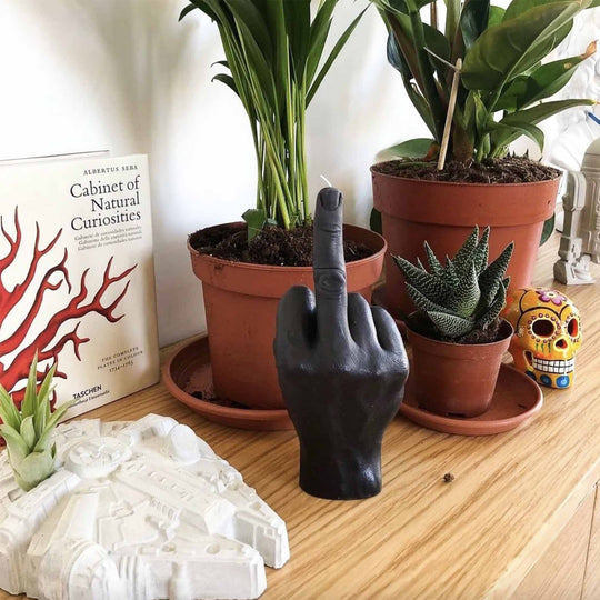 Faites une déclaration audacieuse avec la bougie f*ck you de CandleHand, un objet décoratif à l'attitude rebelle et au design soigné.