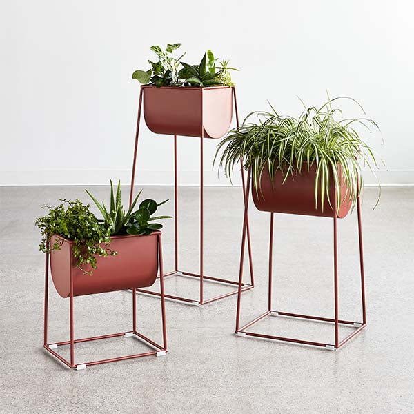 Parfait pour votre jardin d'herbes aromatiques d'intérieur ou vos plantes tropicales, le trio de cache-pot en métal peint Modello de Gus* Modern présente des côtés légèrement arrondis et des pieds gracieux pour maintenir vos feuilles vertes en hauteur.