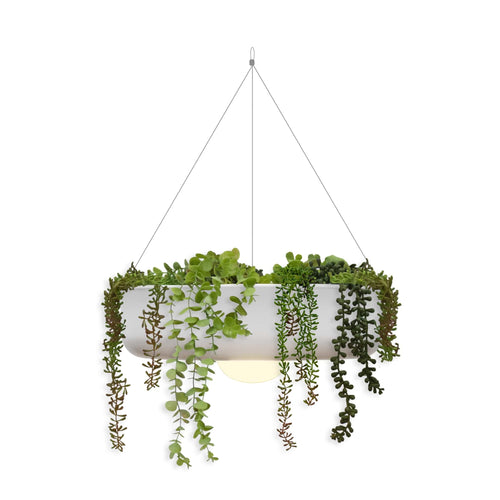 Découvrez la jardinière suspendue Elba de Newgarden : éclairage sans fil, polyéthylène durable, idéale pour intérieur et extérieur. 39