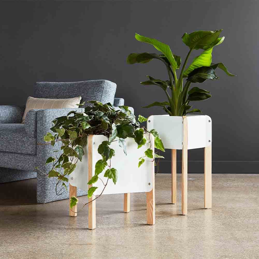 Le design industriel de la jardinière Atrium de Gus* Modern est contrasté par des pieds en bois chaleureux qui offrent un soutien important. Disponible en deux hauteurs, elle s'intègre facilement dans un environnement moderne.