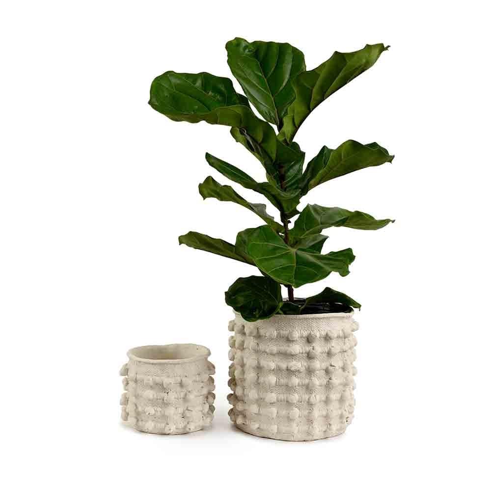 Cache-pots Hobnail : L'élégance du moderne et du vintage réunie dans un accessoire unique. Matériau en ciment durable pour l'intérieur et l'extérieur, texture attrayante.